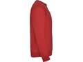 Clasica unisex crewneck sweater 161