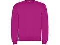 Clasica unisex crewneck sweater 147