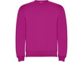 Clasica unisex crewneck sweater 14