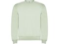 Clasica unisex crewneck sweater 31