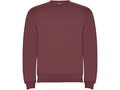 Clasica unisex crewneck sweater 5