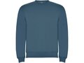 Clasica unisex crewneck sweater 15
