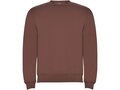 Clasica unisex crewneck sweater 68