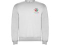 Clasica unisex crewneck sweater 51