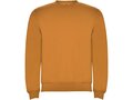 Clasica unisex crewneck sweater 60