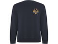 Batian unisex crewneck sweater 1