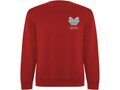 Batian unisex crewneck sweater 9