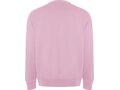 Batian unisex crewneck sweater 18