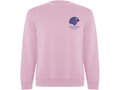 Batian unisex crewneck sweater 10