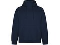 Vinson unisex hoodie 1