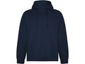 Vinson unisex hoodie 1