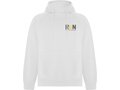 Vinson unisex hoodie 14