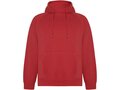 Vinson unisex hoodie 3