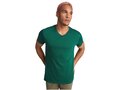 Samoyedo short sleeve men's v-neck t-shirt 18