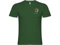 Samoyedo short sleeve men's v-neck t-shirt 21