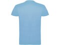 Beagle short sleeve men's t-shirt 17