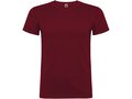 Beagle short sleeve men's t-shirt 18