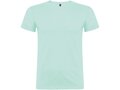 Beagle short sleeve men's t-shirt 73