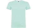 Beagle short sleeve men's t-shirt 24