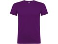 Beagle short sleeve men's t-shirt 80