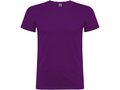 Beagle short sleeve men's t-shirt 31