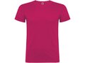 Beagle short sleeve men's t-shirt 41