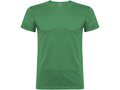 Beagle short sleeve men's t-shirt 103