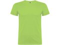 Beagle short sleeve men's t-shirt 104