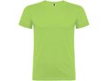 Beagle short sleeve men's t-shirt 55