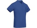 Prince short sleeve men's polo shirt 14