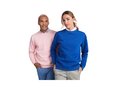 Batian unisex crewneck sweater