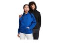 Vinson unisex hoodie