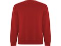 Batian unisex crewneck sweater 22