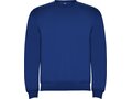 Clasica unisex crewneck sweater 37