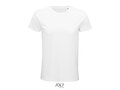 Pioneer men T-shirt 402