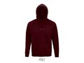 Stellar hood sweater 191