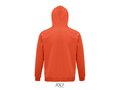 Stellar hood sweater 249