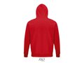 Stellar hood sweater 253