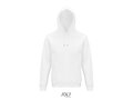 Stellar hood sweater 271