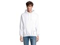 CONDOR UNISEX HOODED SWEAT 172