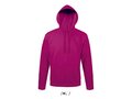 Hood sweater 38