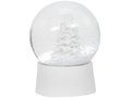 Snow Globe