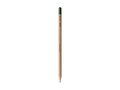 Sproutworld Pencil – Let your ideas grow into something beautiful 1