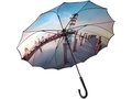 Custom Made One-Piece umbrella 7