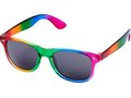 Sun Ray rainbow sunglasses