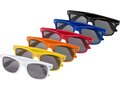 Sun Ray rPET sunglasses