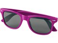 Sun ray sunglasses 14