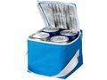 Tromso 4 can cooler bag