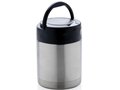 Vacuum insulated food container