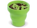 Foldable Flowerpot - Basil